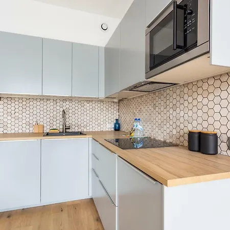Apartment Cmg Buttes Chaumont / Menans Paris
